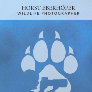 eberhoefer.photography