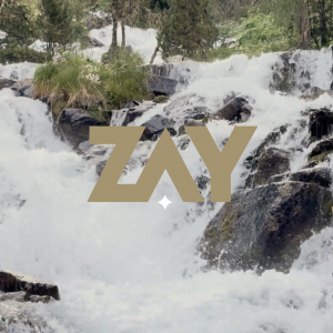 zaybeer.com